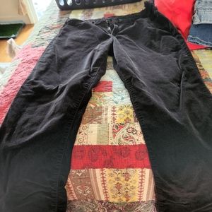 Velvety corduroy pants